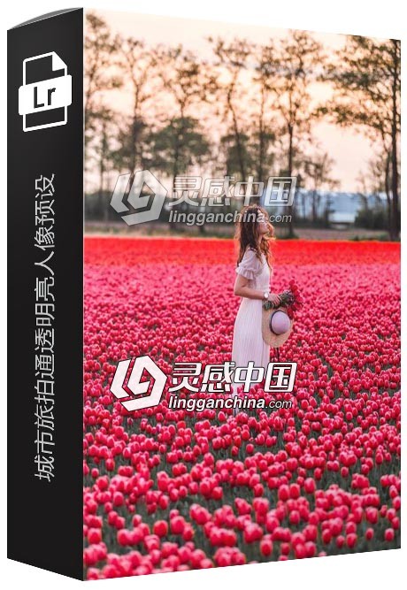 城市旅拍通透明亮人像Lightroom预设+手机版预设 Wine Lightroom  福风灵感网 www.ffidea.com