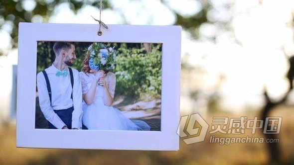 实拍视频阳光明媚树林果园中挂照片展示动画相册视频制作 AE模板 AE工程文件 Sunny Orchard - Photo Gallery  福风灵感网 www.ffidea.com