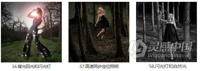 卡尔·泰勒Karl Taylor设备原理到工作室肖像布光63课 中文字幕  福风灵感网 www.ffidea.com