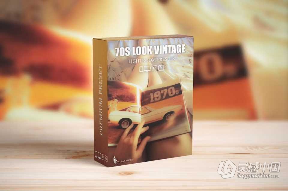 70年代怀旧电影胶片Lightroom预设 Retro Vintage Lightroom Presets  福风灵感网 www.ffidea.com