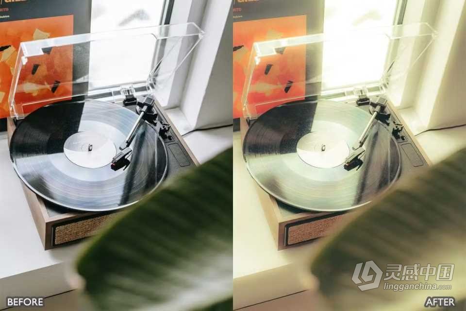 70年代怀旧电影胶片Lightroom预设 Retro Vintage Lightroom Presets  福风灵感网 www.ffidea.com