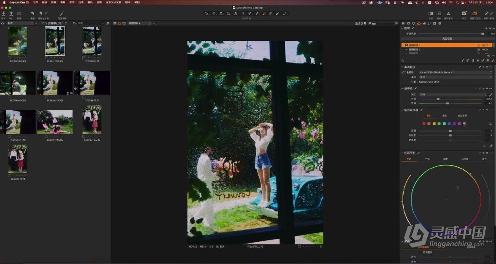 亲切第一张蕾Capture One第二期+C1专题课程+LR色彩美学课程  福风灵感网 www.ffidea.com