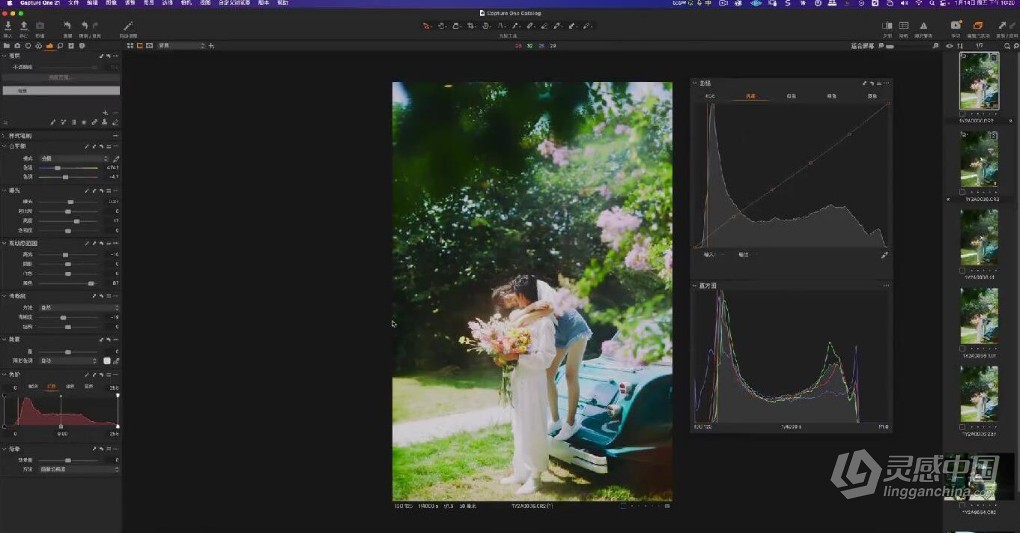亲切第一张蕾Capture One第二期+C1专题课程+LR色彩美学课程  福风灵感网 www.ffidea.com