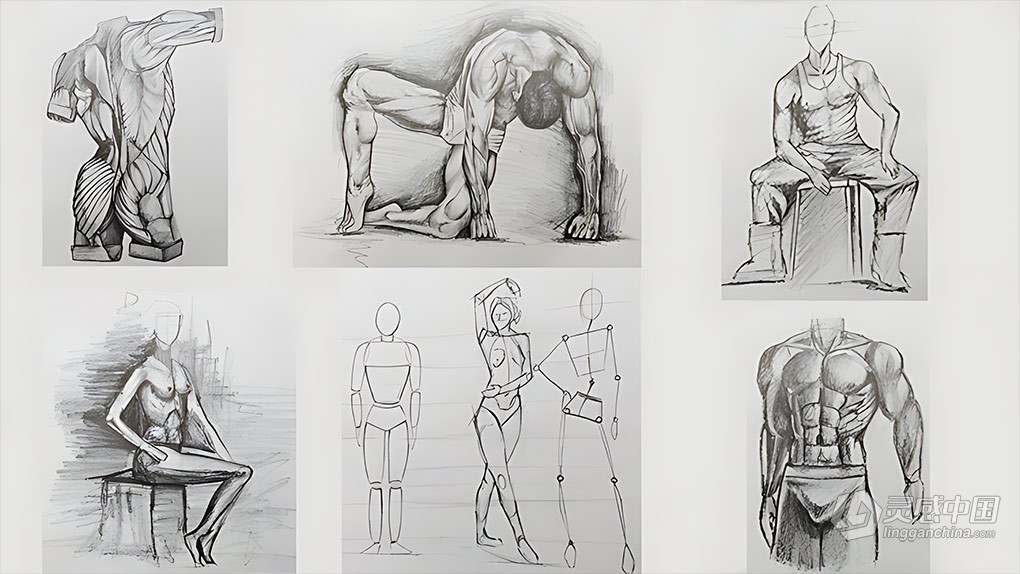 人体解剖学人物铅笔素描绘画技术训练视频教程 Figure Drawing Course From Beginner to Advanced  福风灵感网 www.ffidea.com