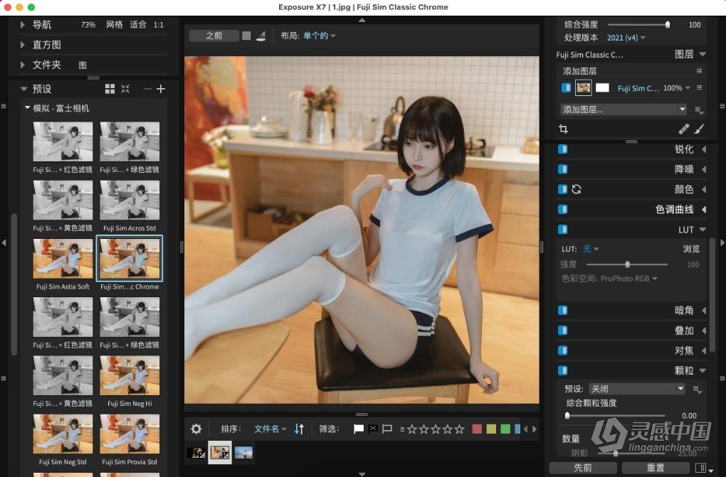 无损RAW照片编辑调色胶片滤镜软件PS插件/软件 Alien Skin Exposure X7 v7.2.0.25 Mac中文汉化版下载  福风灵感网 www.ffidea.com