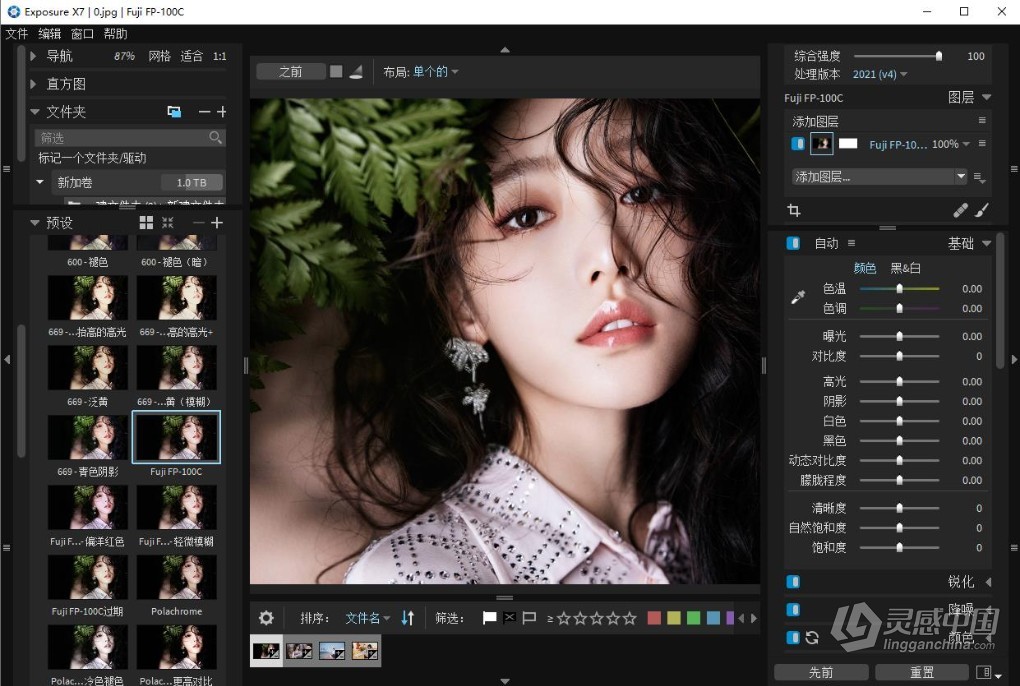 无损RAW照片编辑调色胶片滤镜软件PS插件/软件 Alien Skin Exposure X7 v7.2.0.25 WIN中文汉化版下载  福风灵感网 www.ffidea.com