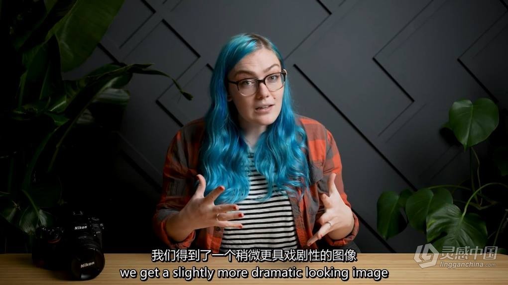 Tabitha Park 美食摄影布光,设备,造型及后期编辑教程-中英字幕  福风灵感网 www.ffidea.com