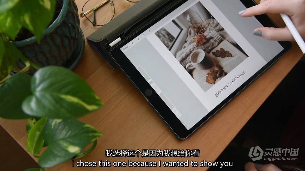 Tabitha Park 美食摄影布光,设备,造型及后期编辑教程-中英字幕  福风灵感网 www.ffidea.com