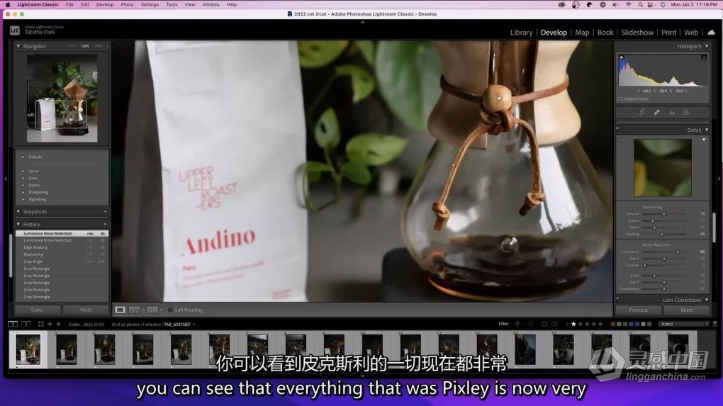 Tabitha Park 美食摄影布光,设备,造型及后期编辑教程-中英字幕  福风灵感网 www.ffidea.com