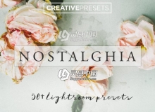 电影胶片复古婚礼Lightroom预设 Wedding & Portrait Lightroom Preset