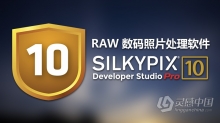 RAW数码照片处理软件SILKYPIX Developer Studio Pro 10.0.8汉化版WinX64
