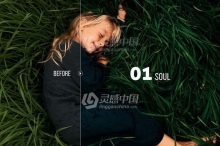 清新森系人像LR预设/手机APP调色滤镜 Sea of Grass Portrait Presets