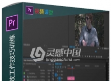 Premiere Pro CC高效工作技巧训练视频教程