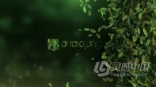 清新自然绿色生态叶子LOGO标志动画AE模板下载 Elegant Leaves Logo Reveal V3