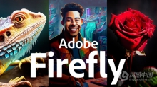 Adobe Firefly平面设计中使用AI人工智能视频教程 中文字幕