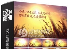 企业大气年会回顾公司成长历程视频AE模板 NO1