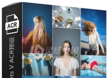 顶级人像风景胶片Adobe Camera Raw预设 Rebecca Lily Pro Sets V ACR预设