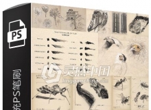 Photoshop手写绘画传统PS笔刷Traditional Brush by Quentin Gabriel