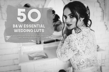 50组电影胶片黑白人像必备婚礼人像LUT预设 50 Black & White Essential LUTs Pack