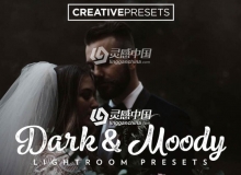 人像婚礼舒适温馨风格Lightroom预设 DARK AND MOODY LIGHTROOM PRESETS
