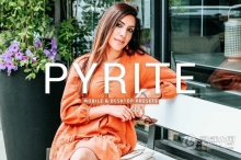 暖调胶片人像调色Lightroom预设 Pyrite Lightroom Presets