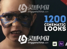 1200种大气时尚电影黑白单色小清新浓郁鲜艳复古风格化专业调色ffx预设AE调色预设