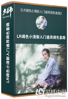 大师摄影后期修图课堂 LR调色小清新入门通用调色套路摄影后期修图调色中文视频教程