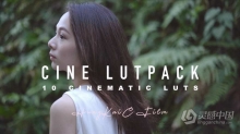 摄影师 HungKai Chen 10组 索尼灰片调色预设 SONY A7III CINE4 电影视频调色Lut预设