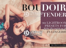 闺房写真时装模特摄影后期Lightroom预设 20 Boudoir Tender Lightroom Presets