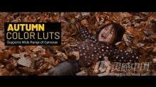 LUTs预设-暖色系秋季风格温馨生活季节调色15种LUTs预设文件