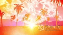 视频素材 五颜六色棕榈树夏季风景背景VJ素材视频素材下载