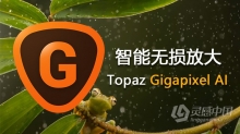 AI人工智能无损放大软件Topaz Gigapixel AI 5.0.4 WINX64独立破解版