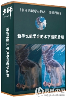 大师修图课堂 新手也能学会的水下摄影后期修图调色中文视频教程