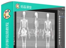 经典人体结构解剖课讲解视频教程