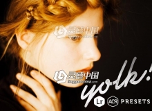 丰富的表现力自然光肖像摄影Lightroom预设 Yolk Lightroom presets