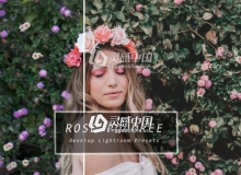 浪漫粉色调外拍人像Lightroom预设下载 Lightroom Presets ROSE
