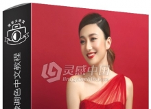 斧子摄影后期婚礼婚纱人像调色精修中文视频教程