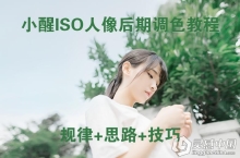 小醒ISO人像后期调色中文视频教程