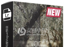 时尚人像杂志电影街头风格Vogue电脑版+手机版LR预设