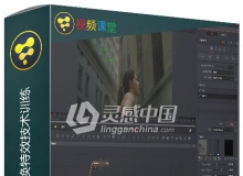 Fusion Studio背景替换特效技术训练视频教程