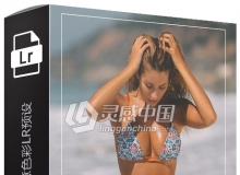 Bonnie Cee泳装写真古铜色创意色彩Lightroom预设CALIFORNIA SUMMER