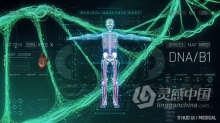 AE模板 医疗新科技介绍HUD人体化学生物元素UI界面动画身体心脏大脑病毒DNA AE工程 AE文件