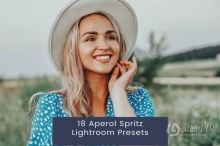 暖调复古胶片人像Lightroom预设 Aperol Spritz Lightroom Presets