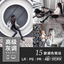 高级感灰调色LR预设北欧极简风PR FCPX AE PS 手机版APP街拍旅拍人像滤镜