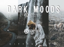 磨砂VSCO电影胶片Lightroom预设+手机版lr预设Moody Matte VSCO Film