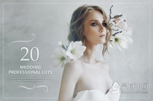 电影胶片色调旅拍婚礼人像LUTS预设 20 Wedding LUTs Pack