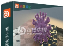 Houdini纹理材质制作训练视频教程