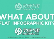 扁平化商务信息数据图表展示MG动画AE模板 Videohive Flat Design Infographics