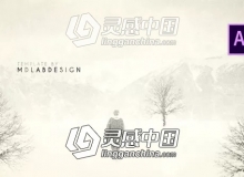 创意黑白素描怀旧风格图文展示动画AE模板 Videohive Litera - Film Titles