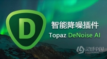 强大的PS人工AI智能降噪插件Topaz DeNoise AI 2.2.2 WINX64破解版 独立版+PS插件滤镜